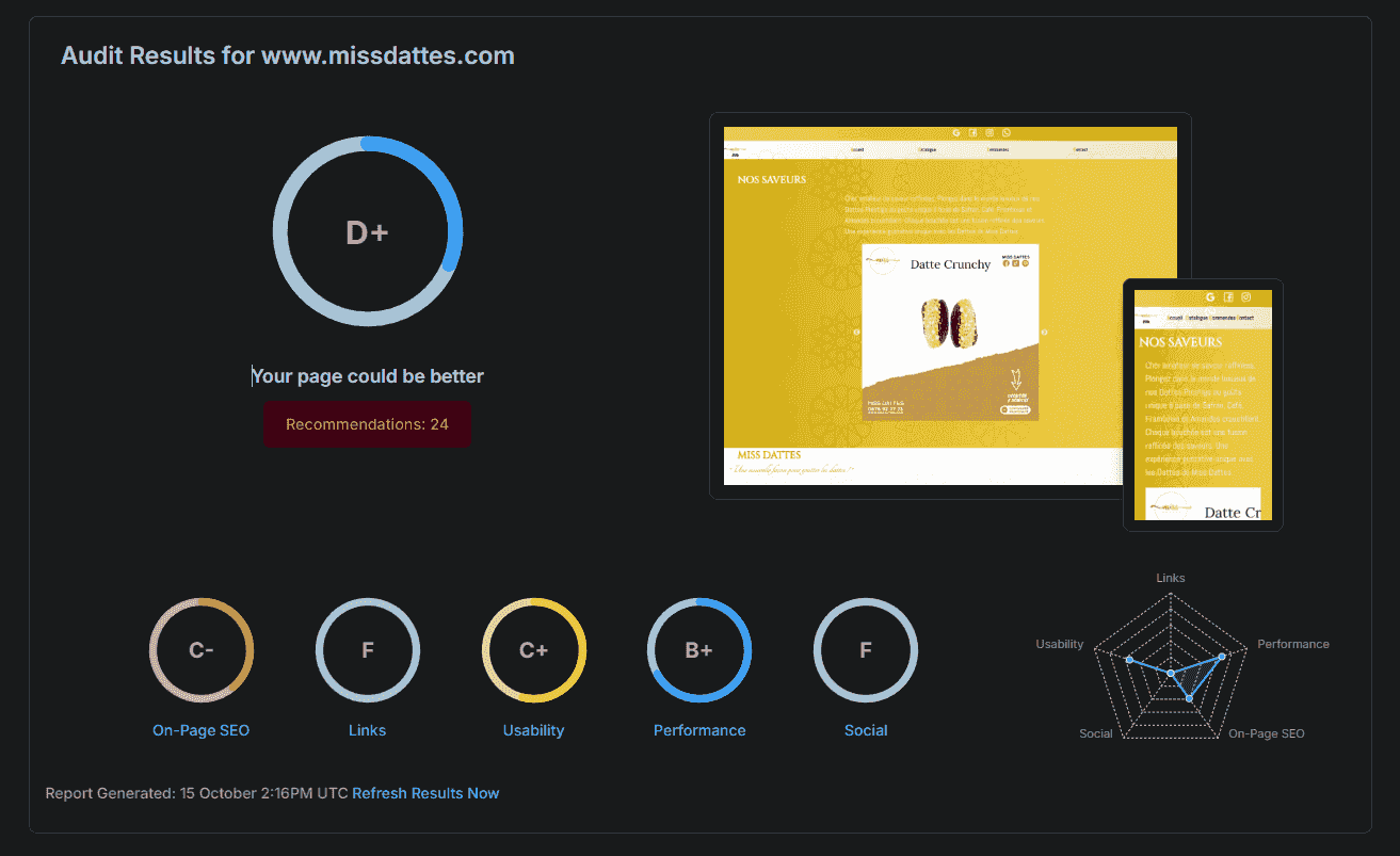 Résultats de l'audit SEO